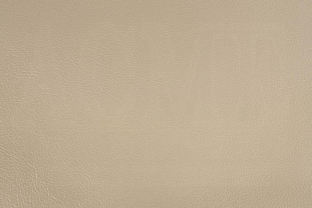Danae Side Chair (Set 2)