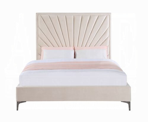Faiz EK Bed
